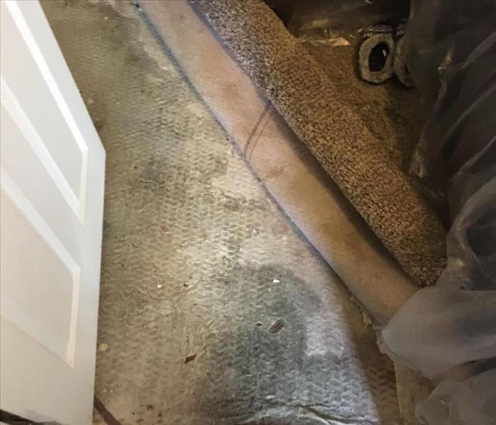 Water Damage Found Beneath Carpet