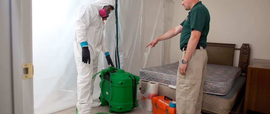 Cerritos, CA mold removal process